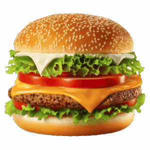 Gourmet Burger