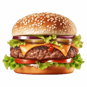 Pulled Pork Burger