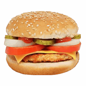Turkey Burger
