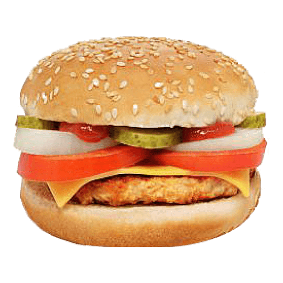 Turkey Burger